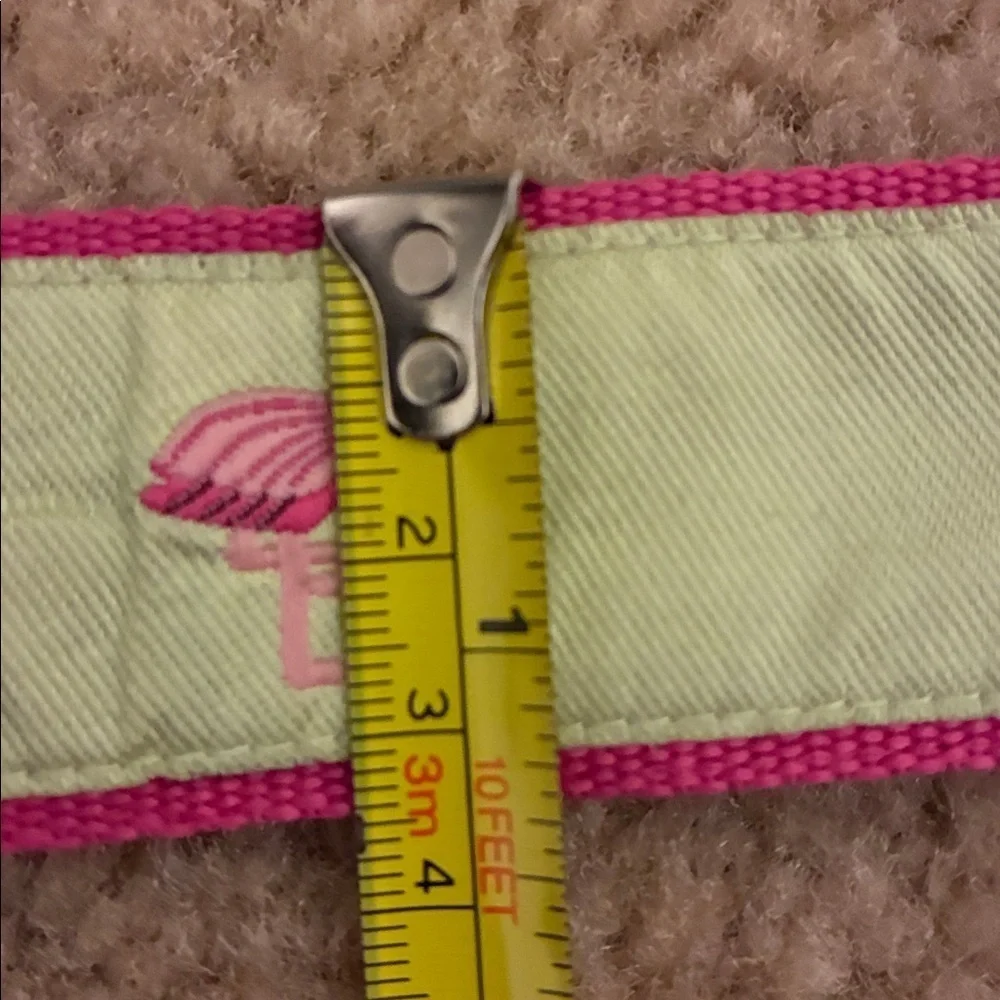 Toe Goz D Ring Pink/Green Flamingo Belt- S